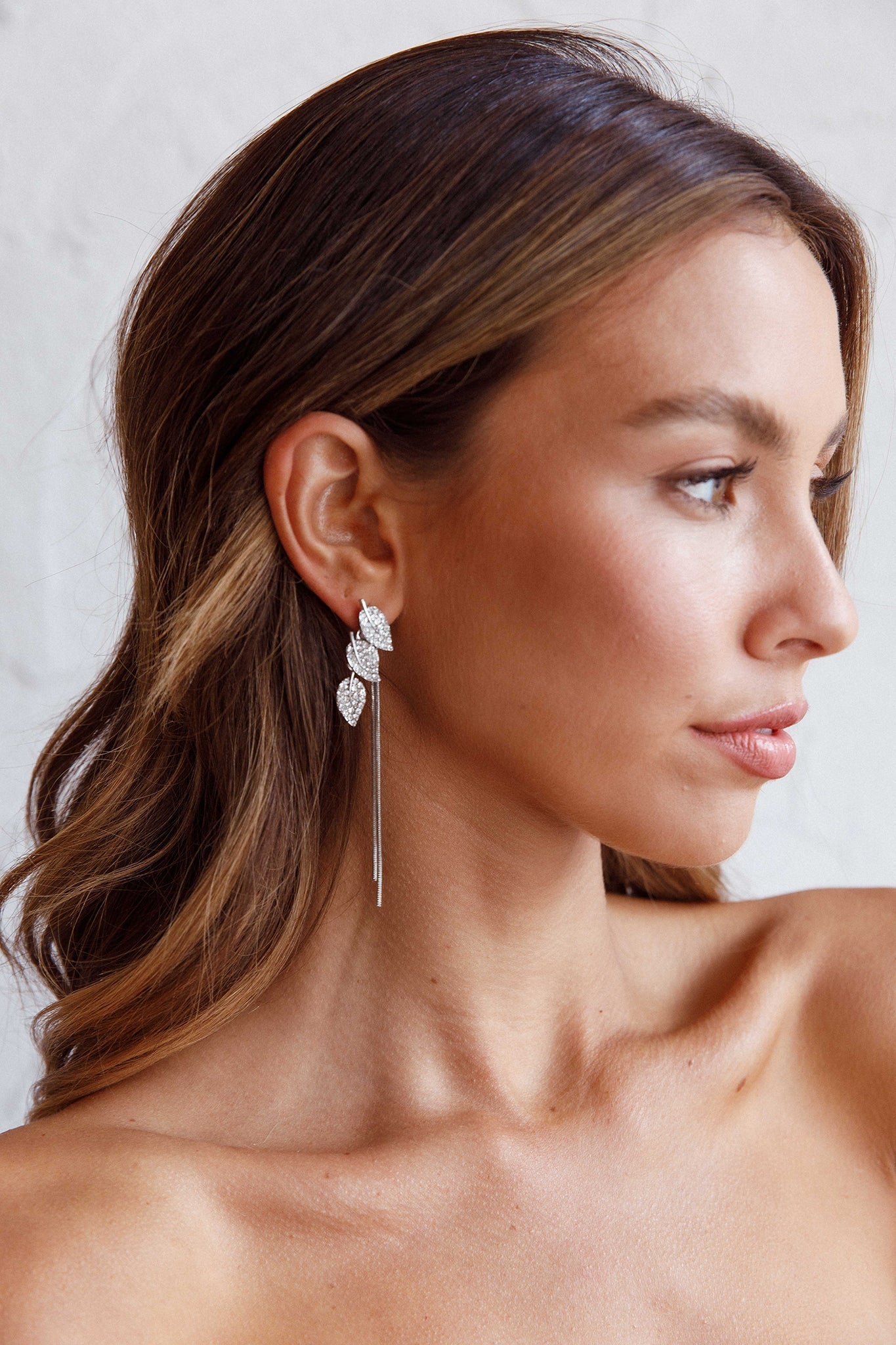 Boucles d'oreilles pendantes en forme de feuilles en zircon argenté